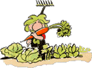 Giardinaggio - Orto