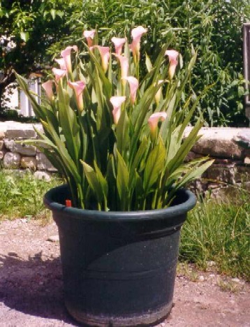 foto5.jpg