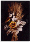 Composizioni Fiori Secchi