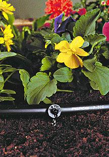  Piante Giardino - Irrigazione