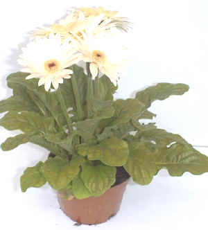 gerbe1.JPG (50524 byte)