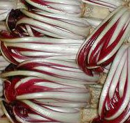 radicchio