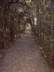 Image14.jpg (232853 byte)