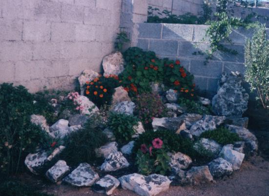 Giardino Roccioso