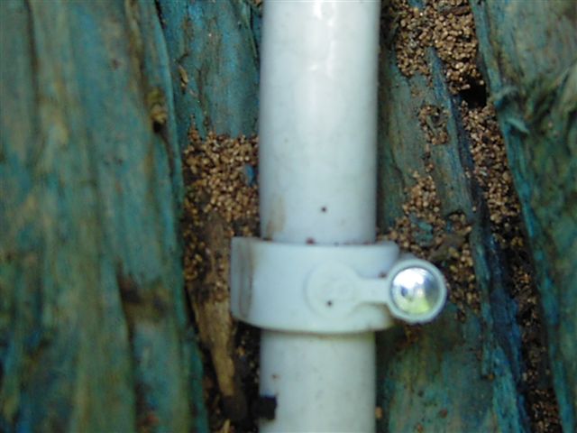 KIF_0586.JPG