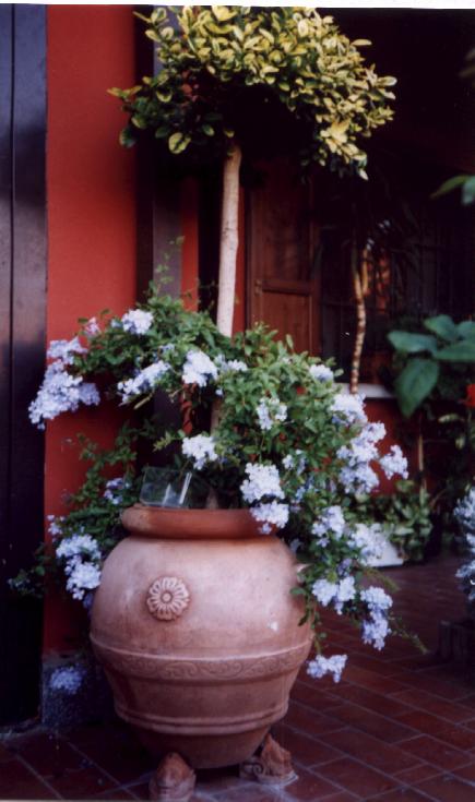 abvaso.jpg
