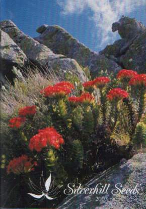 coccinea.jpg
