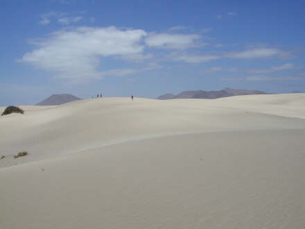 deserto2.jpg