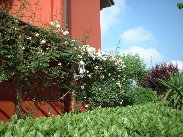 dscf0733.jpg