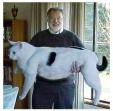 gatto.jpg