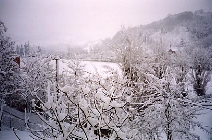 lu6011.jpg