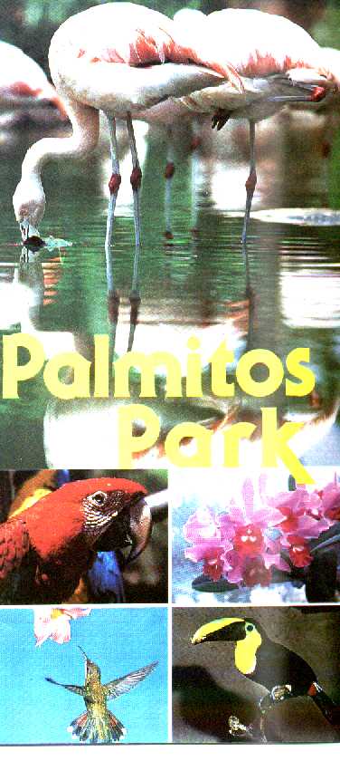 palmitospark.jpg