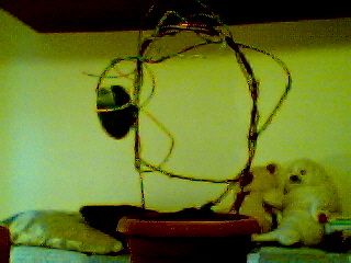 tatobeso00027.jpg