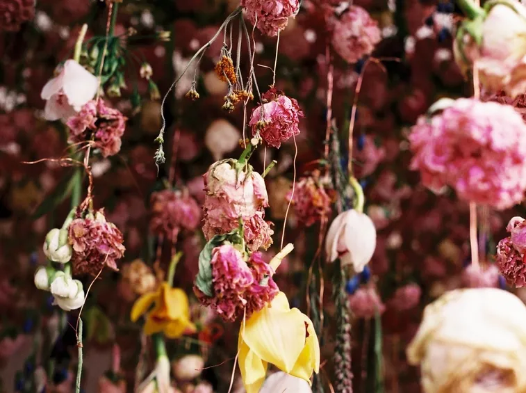 tecniche essicazione fiori