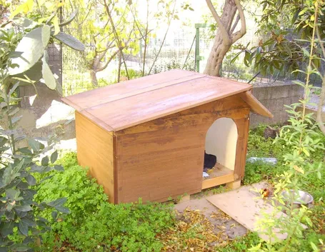 Un esempio di cuccia per cani in legno