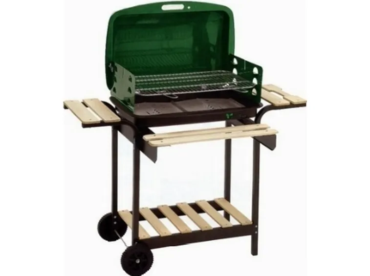 barbecue a legna