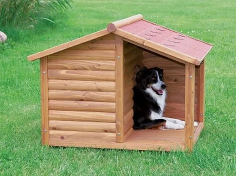 casetta in legno per cani