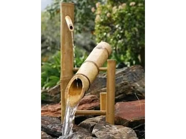 fontana bamboo