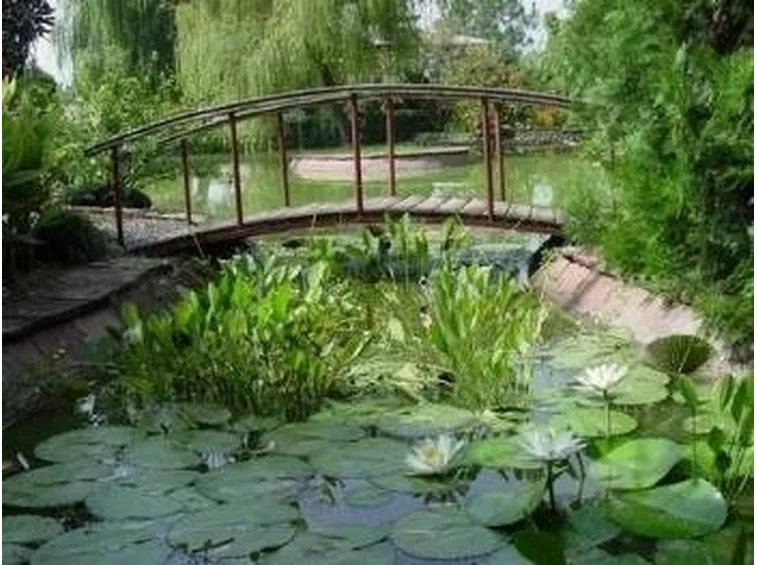 Laghetti d acqua