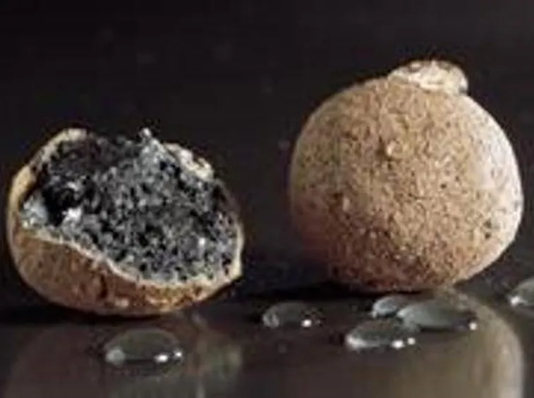argilla espansa