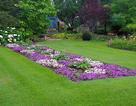 giardino fiorito