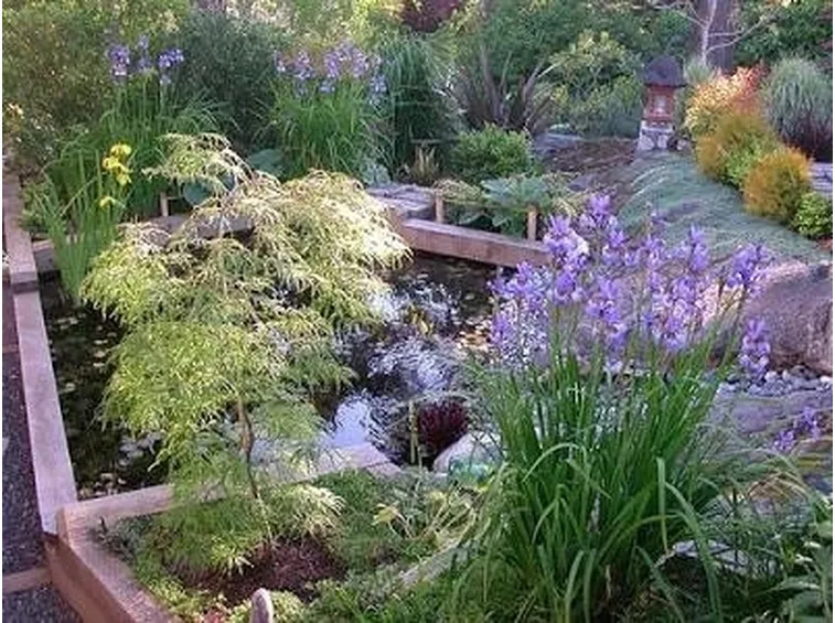 Giardino acqua