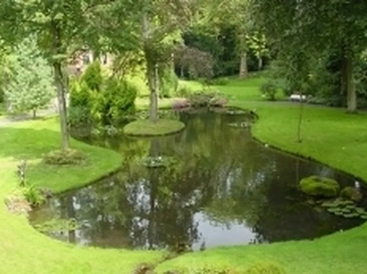 stagno
