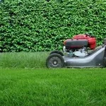 manutenzione giardino