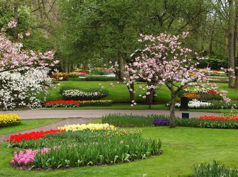 giardino
