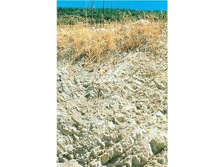 terreno calcareo