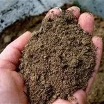 terreno sabbioso
