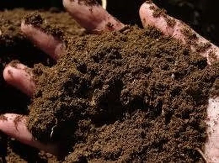 terreno sabbioso