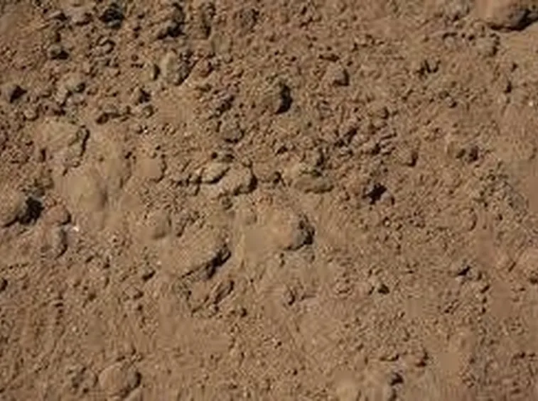 terreno sabbioso