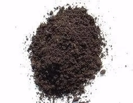 terriccio