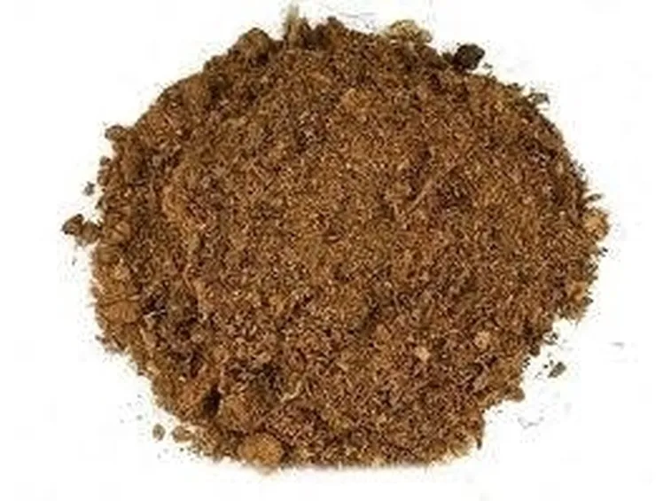 torba bionda
