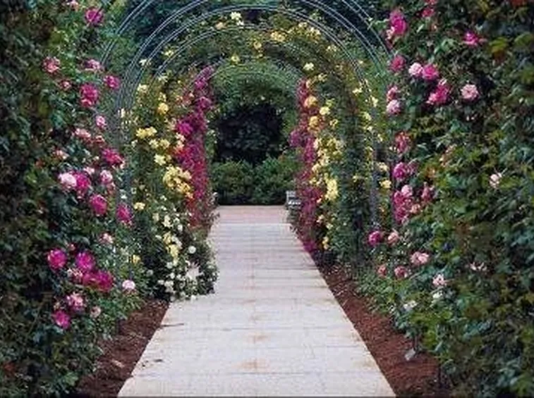 grigliati giardino 