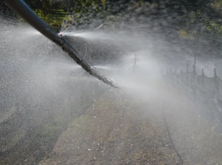 Irrigazione per nebulizzazione