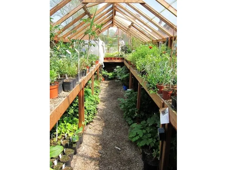 Interno di una serra amatoriale