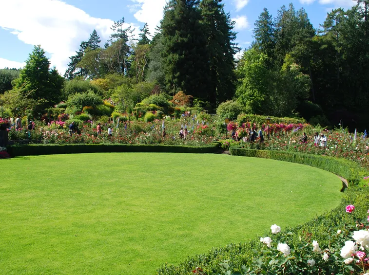 giardino