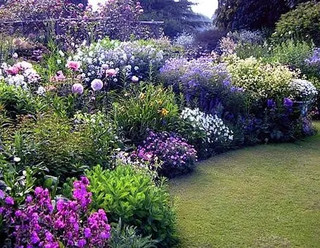 giardino