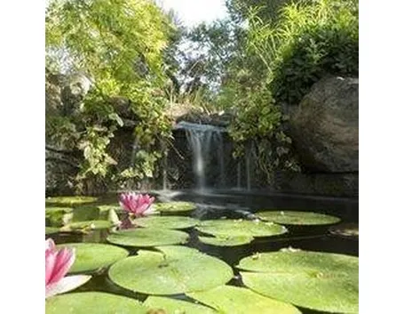 giardino d acqua