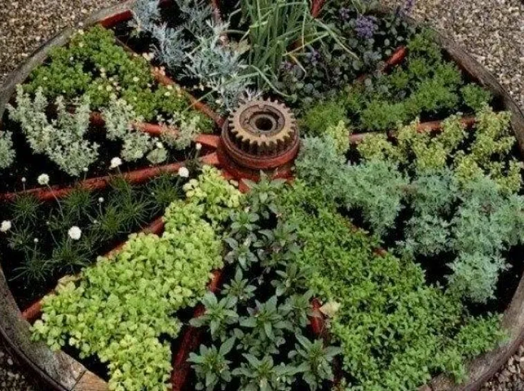 orto giardino