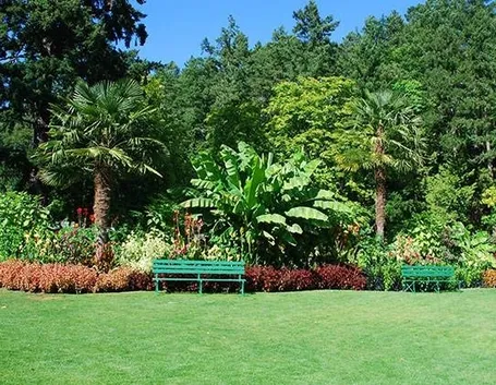giardino mediterraneo