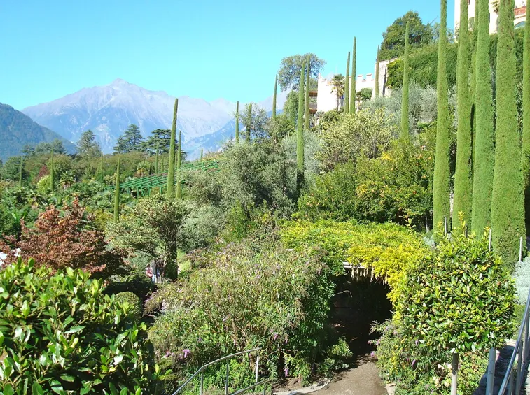 giardino mediterraneo