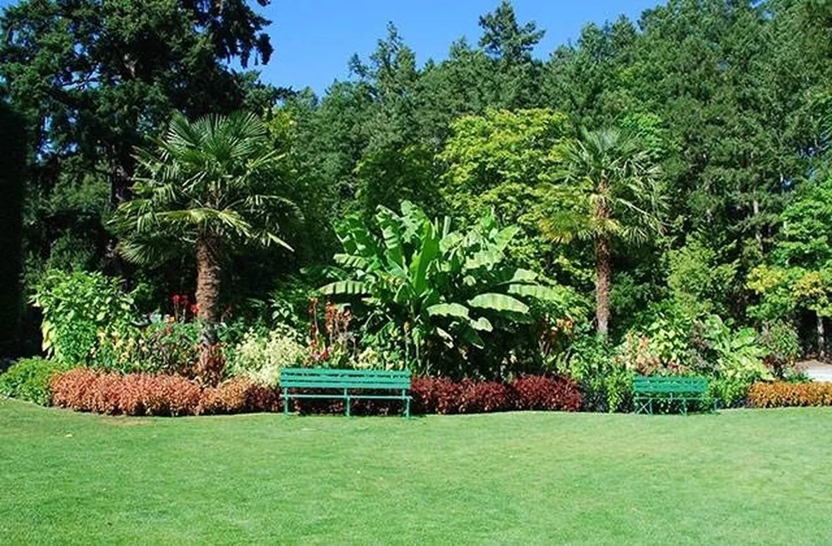giardino mediterraneo