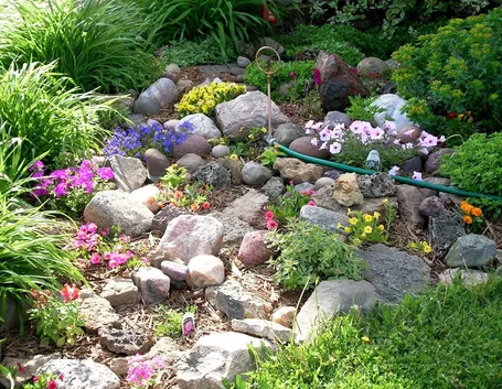 giardino roccioso