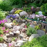 giardino roccioso