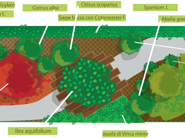 progetto giardino