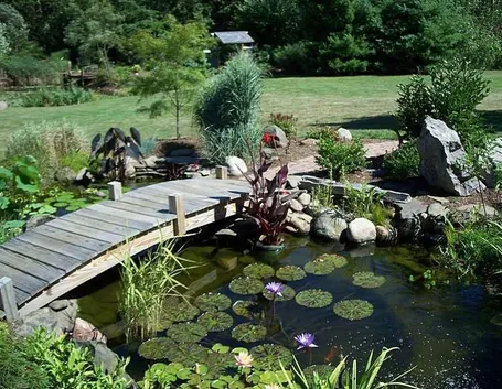 laghetti giardino