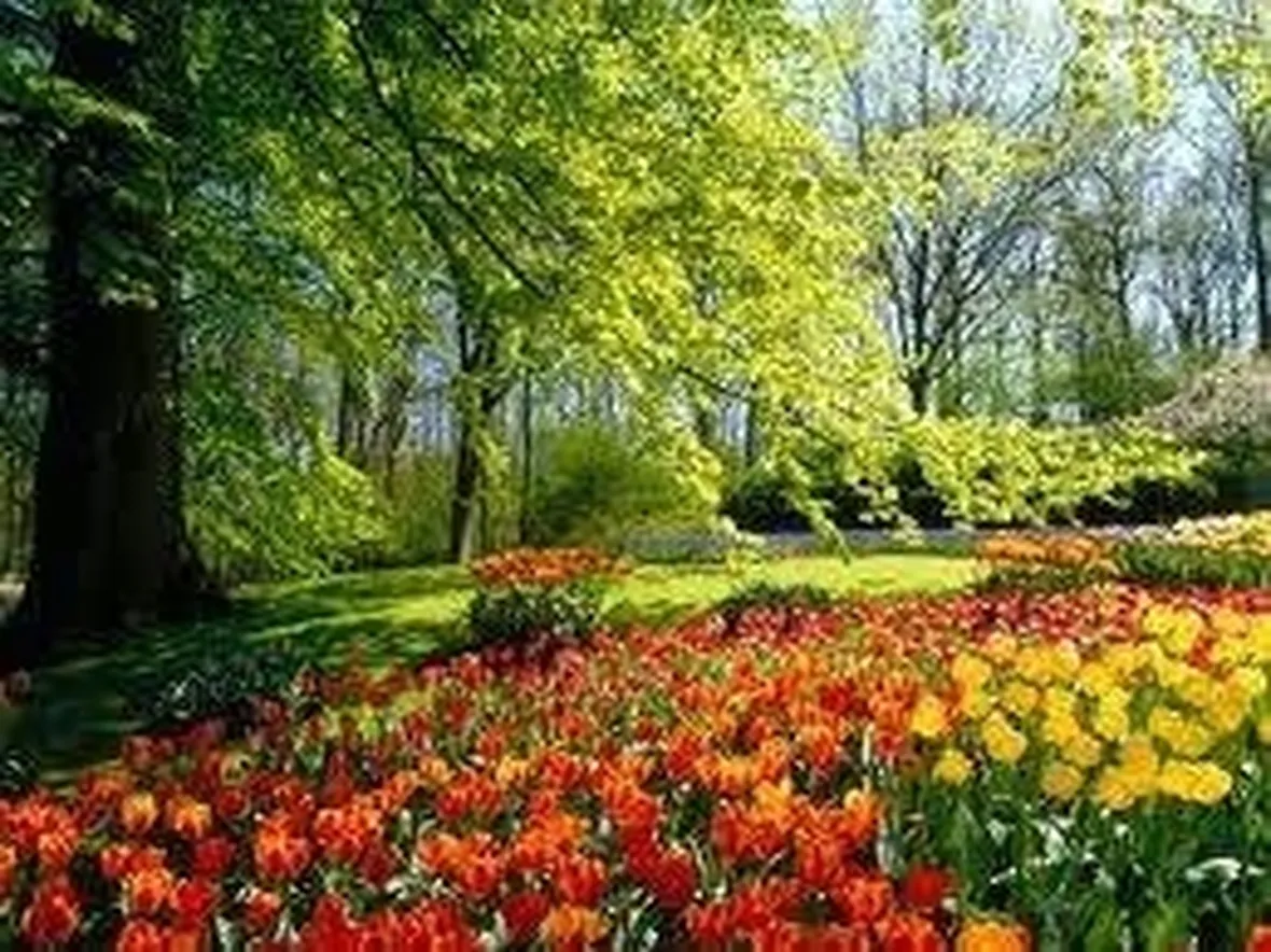 giardino